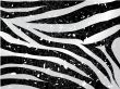 scrapped vector zebra background