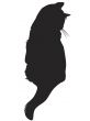 black cat silhouette
