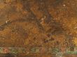 grunge background