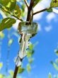 key on branch