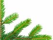 fir corner
