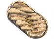 sprat