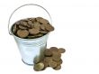 bucket with coins