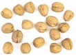 walnut