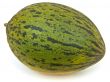 green melon