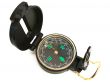 Single compass