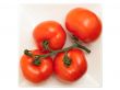 tomatoes in plate