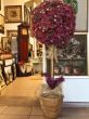 decorative tree