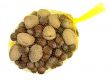 hazelnuts and walnuts