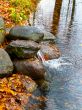 autumn source