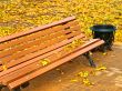 Autumn bench