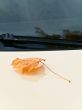 maple leaf at bonnet