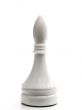  white bishop