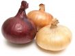 onion