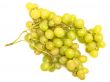 green grape vine