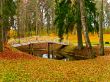 pond and bridge