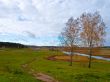 two birch