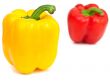 paprika