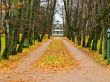 Autumn alley with house