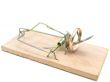 mousetrap
