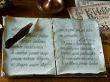 Old write book and feather