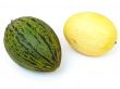 melons