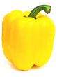 yellow paprika