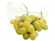 wineglass and grape