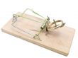 mousetrap