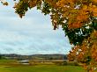 autumn in rural place