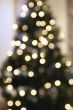 Christmas Tree Bokeh