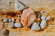 Stones and tree
