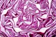 cabbage