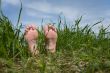 Barefooted foot in grass