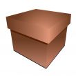 cardboard box