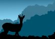 Deer in mountains