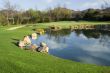 Golf Green and Lake