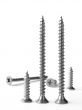 screws