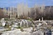 Ruins and trees
