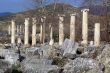Autumn and columns