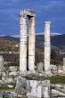 Columns