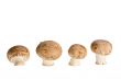 mushrooms
