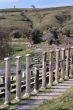 Columns