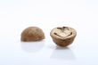 isolated walnut