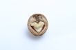 isolated walnut