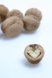isolated walnut