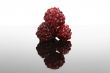 blackberry