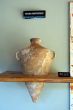 Amphora