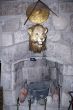 Lion`s head