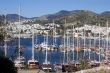 Boats